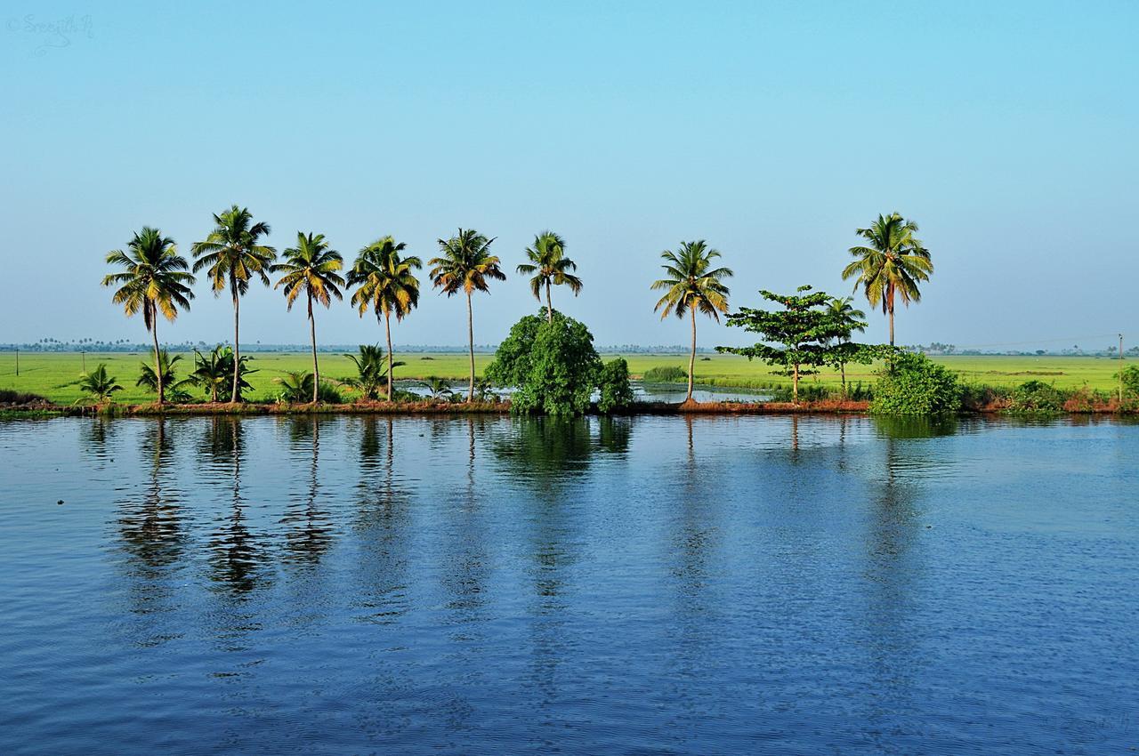 Apartament Marari Peterland Alappuzha Pokój zdjęcie